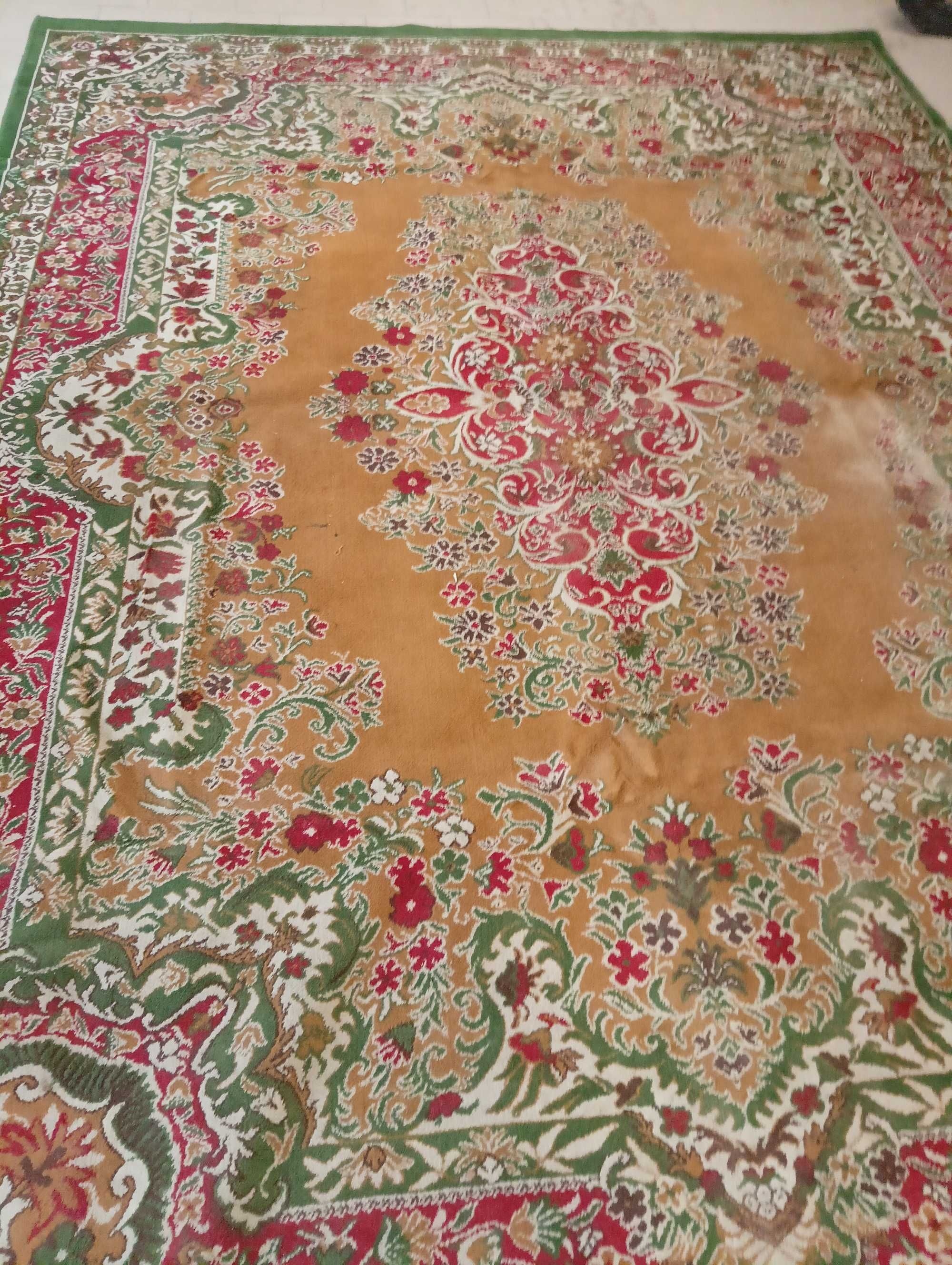 Dywan Wełniany 300x400 AGNELLA Białystok