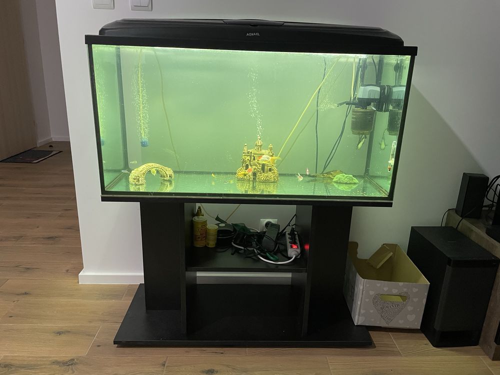 Akwarium Aquel z całym osprzętem 200l