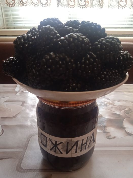 Варення з домашньої ожини з власного городу