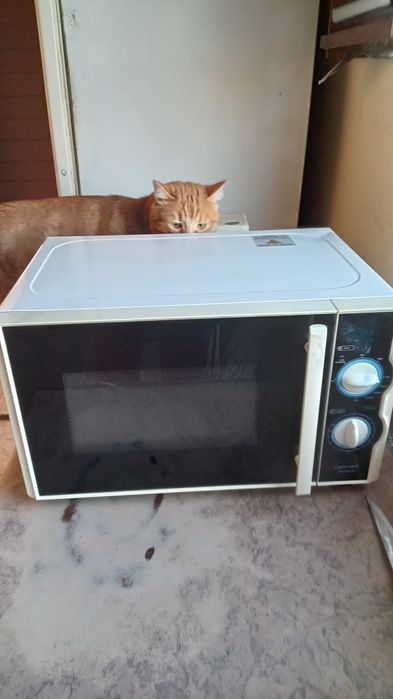 Мікрохвильова піч