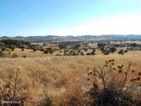 Terreno Rústico com 12 ha, perto de Reguengos de Monsaraz