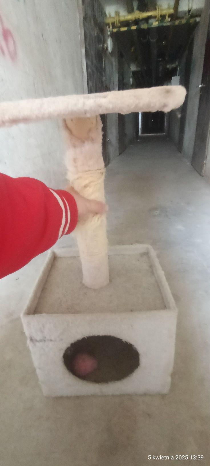 Drapak dla kota plus piłeczki gratis .