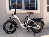 Radpower e-bike: RadMini Step-Thru Electric Fat Bike Version 2