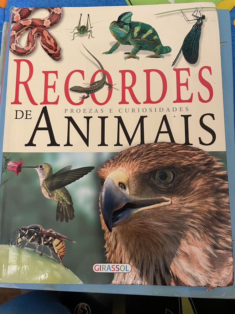 Livros vários dinossauros e animais