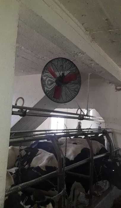 Mieszacz Powietrza,wentylator przemysłowy do obory.Multifan