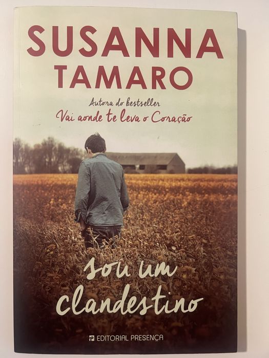 Livro  Sou um clandestino