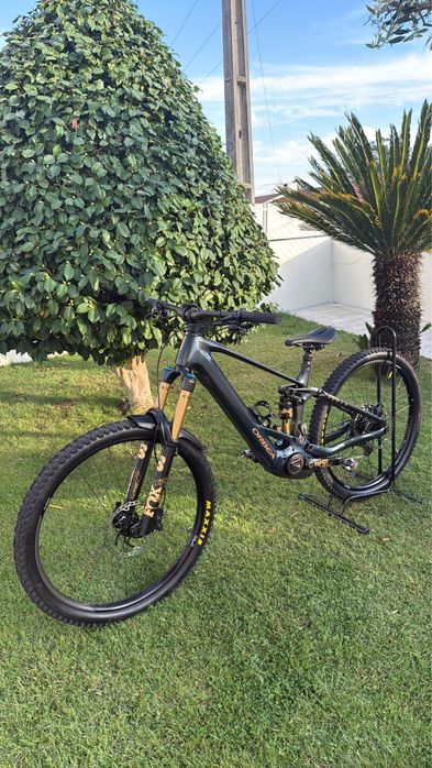 Orbea Wild H10 2024