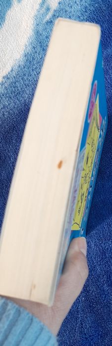 Diário de uma Totó 5