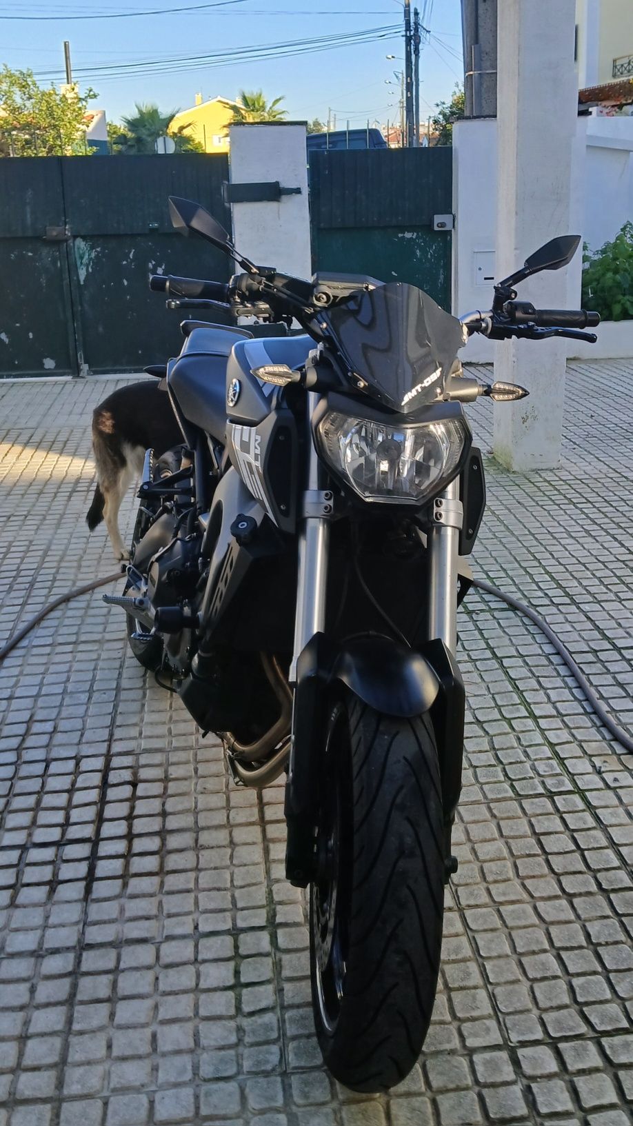 Yamaha Mt 09 Abs 2013