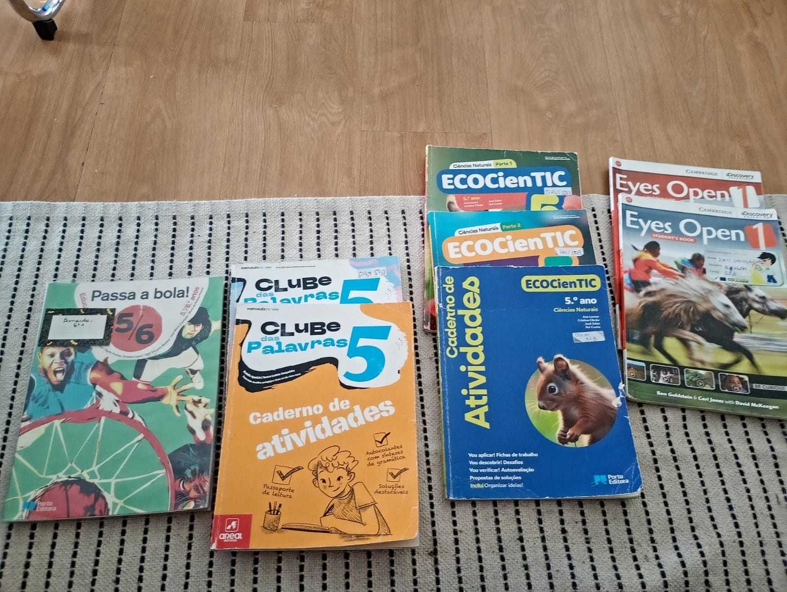 Manuais do 5º ano + Caderno de Atividades em Bom Estado