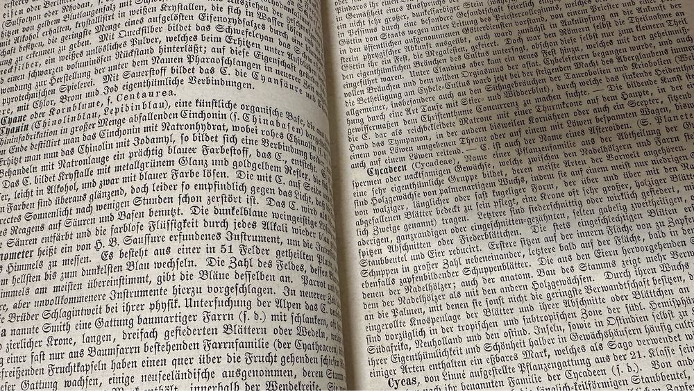Енциклопедія Брокгауз. Brockhaus Conversations-Lexikon Leipzig 1876