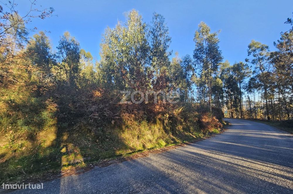 Terreno Rústico para Venda em Gémeos, Guimarães