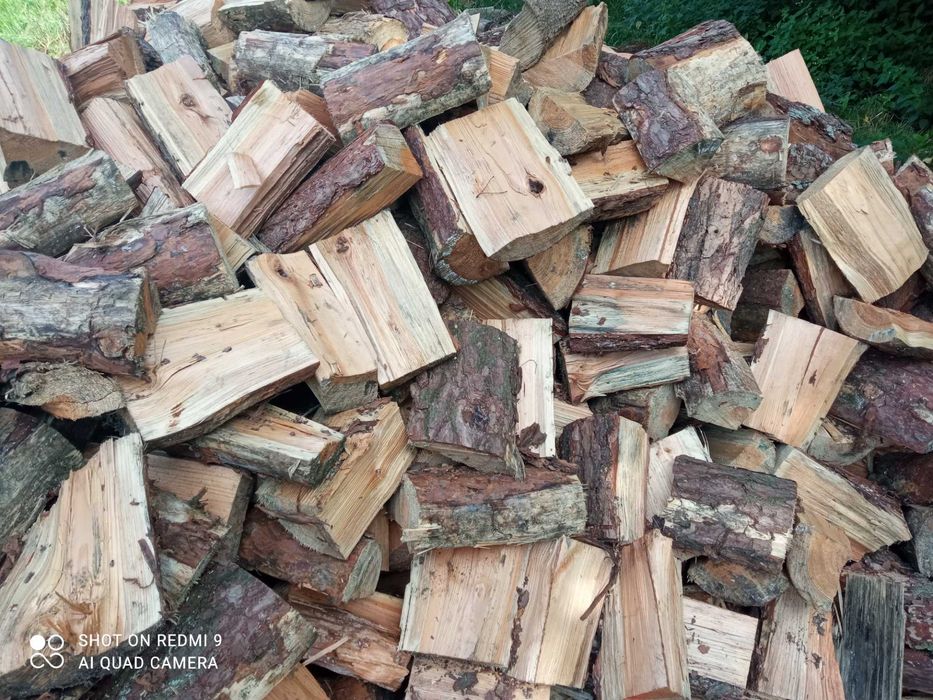 Drewno opałowe SOSNA