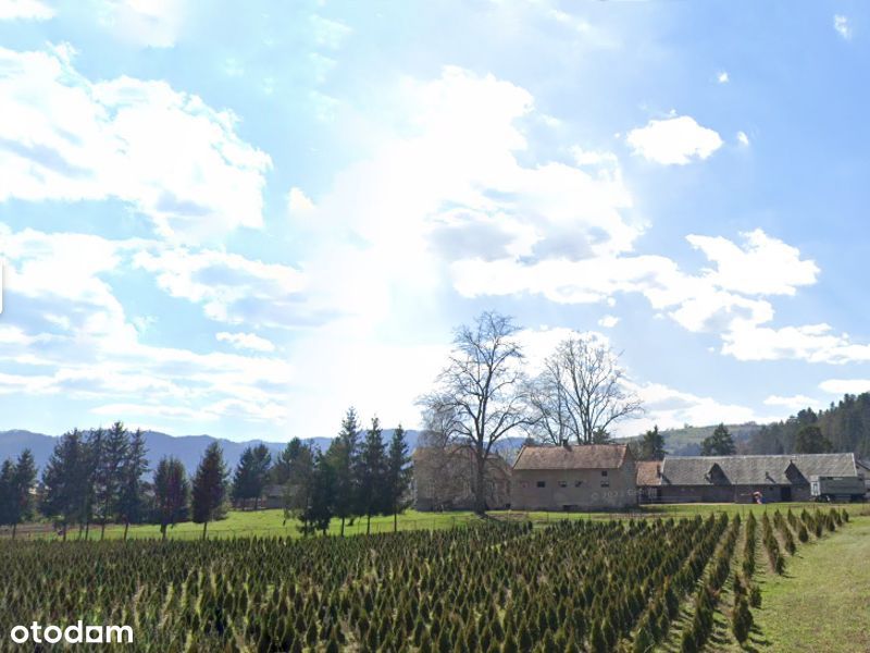 Duży plac z domem i budynkami gospodarczymi do wynajęcia – Jazowsko