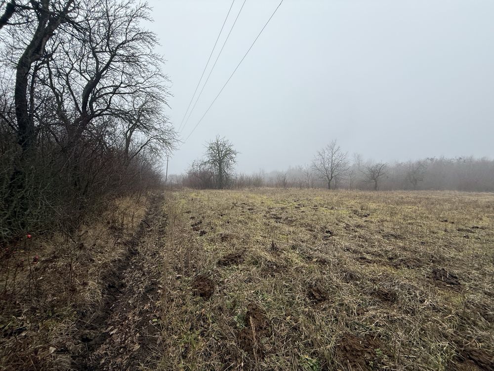Продам або здам ОСГ/комерція/СЕС/будинок 0,5 Га Дунаївці