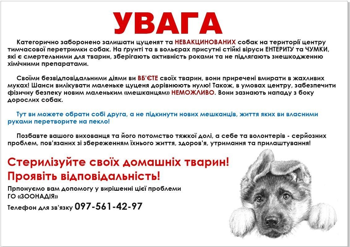 Собачки в хороші сім'ї