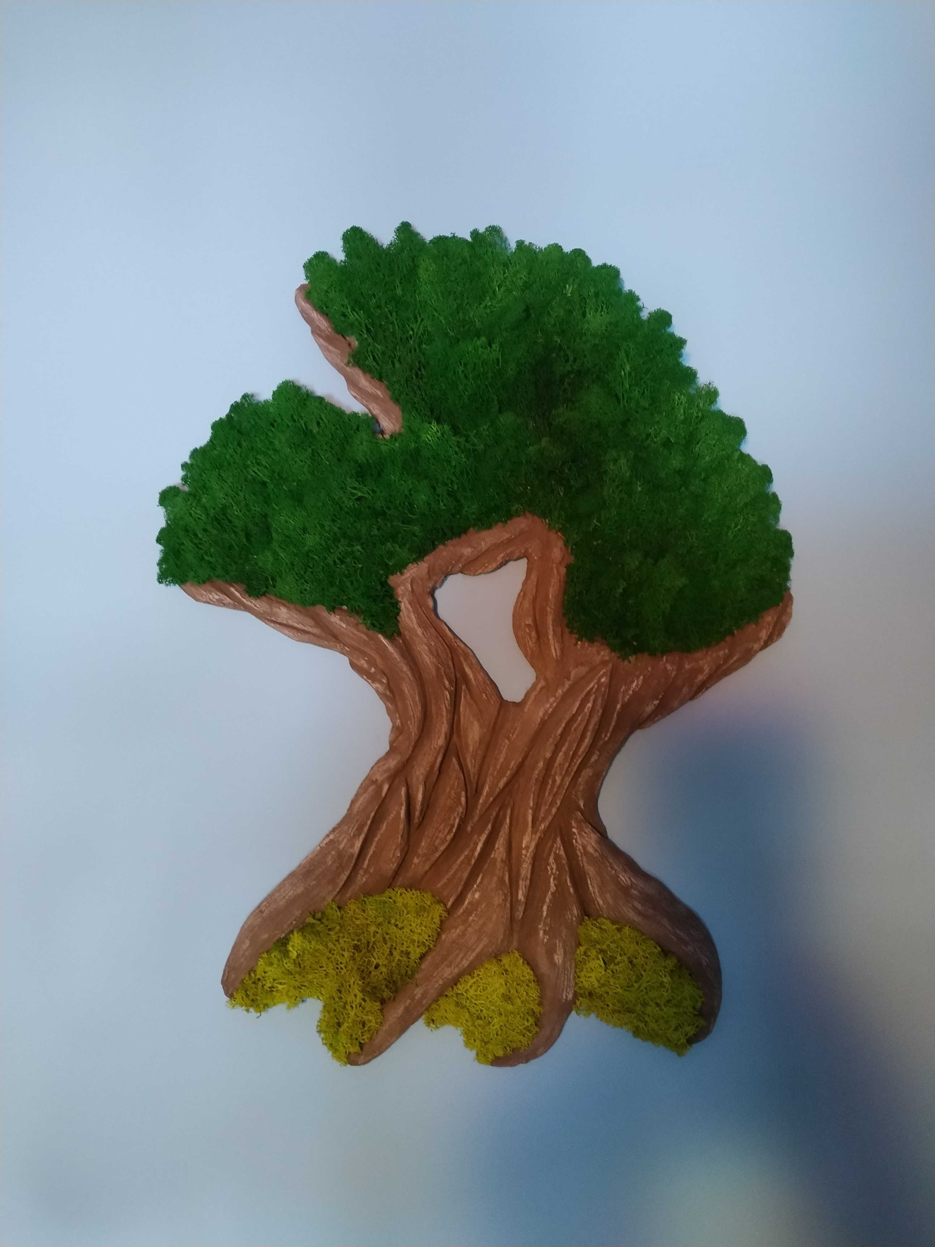 Drzewko bonsai na ścianę