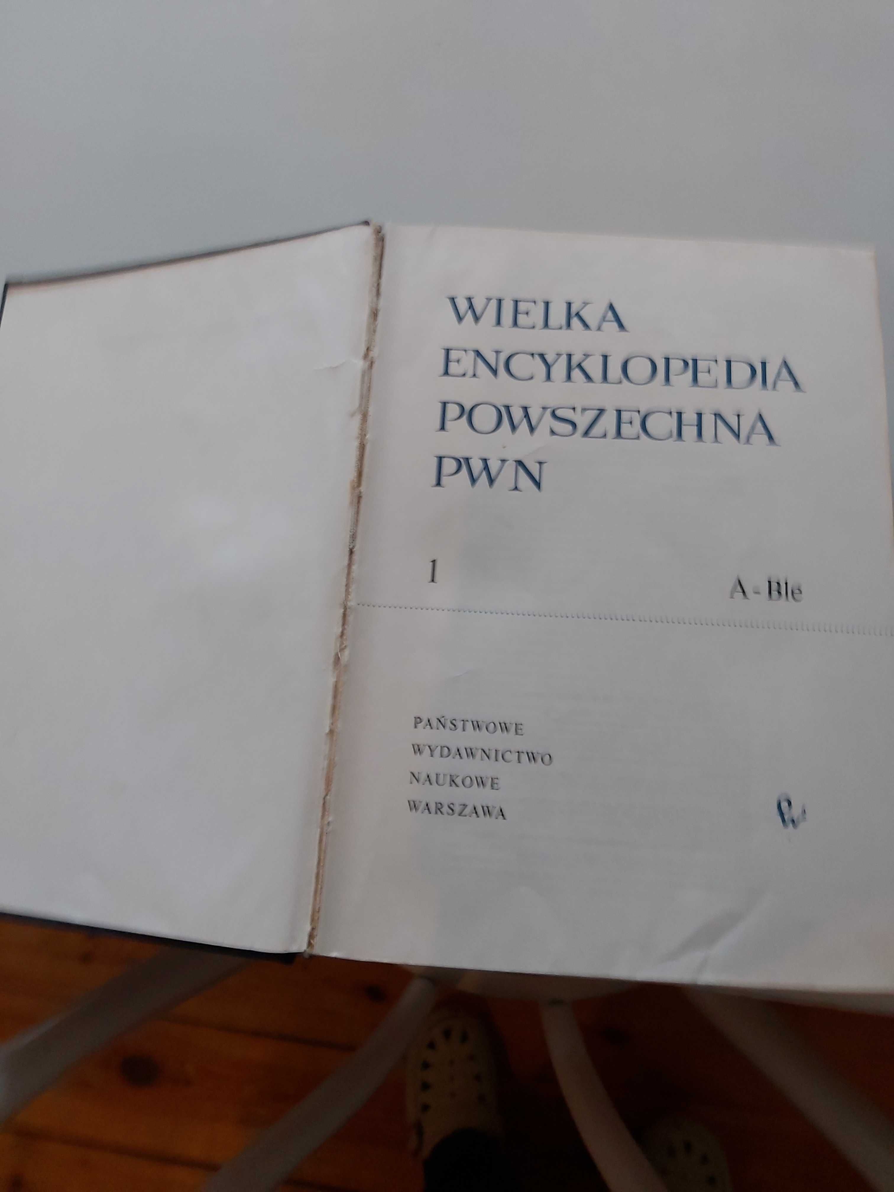 Okazja! Wielka encyklopedia PWN 13 tomów