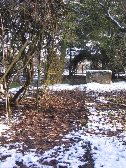 Sprzedaż działki ROD Odnowa Szczecin