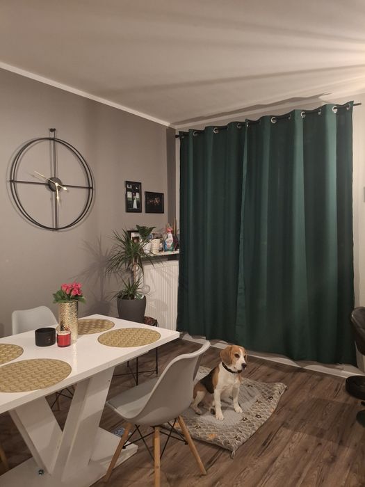 Zasłony butelkowa zieleń