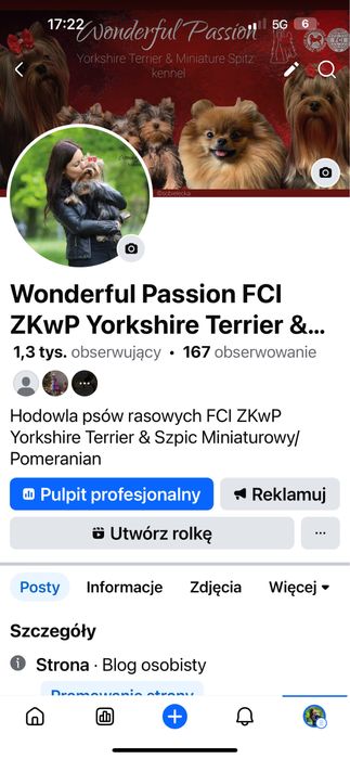 Yorkshire Terrier FCI