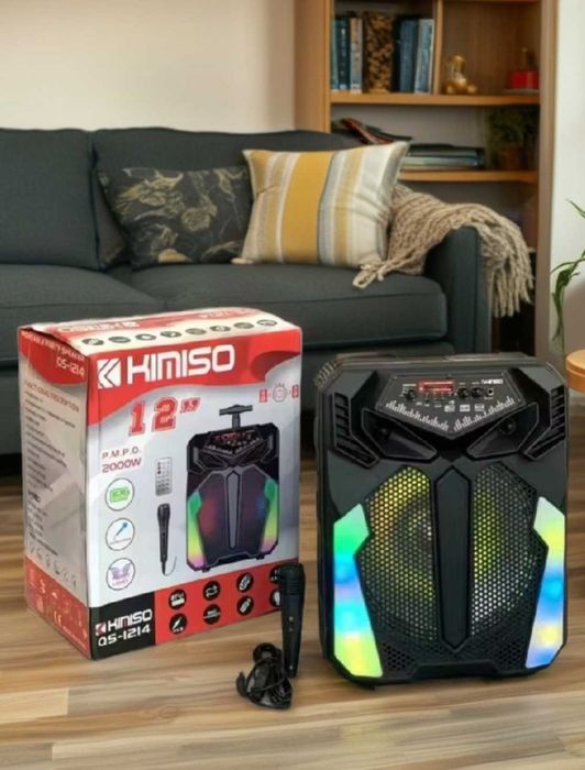 Колонка чемодан 12 дюймів з мікрофоном і діджейським світлом