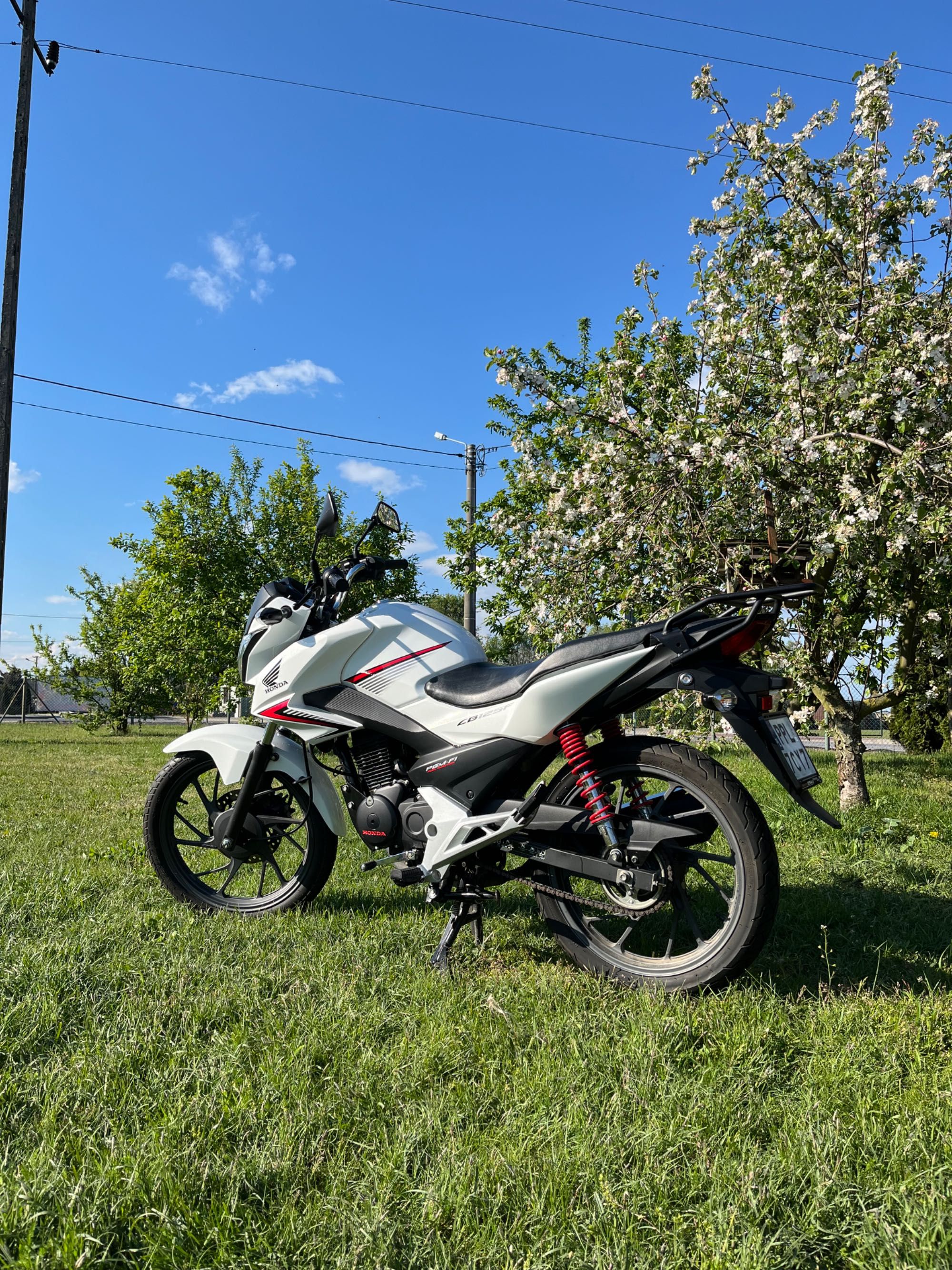 Honda CBF 125 | niski przebieg | jak nowa