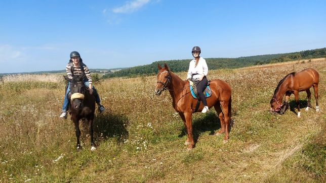 Кінна прогулянка катання на конях Львів