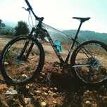 Bicicleta Btt Coluer Poison