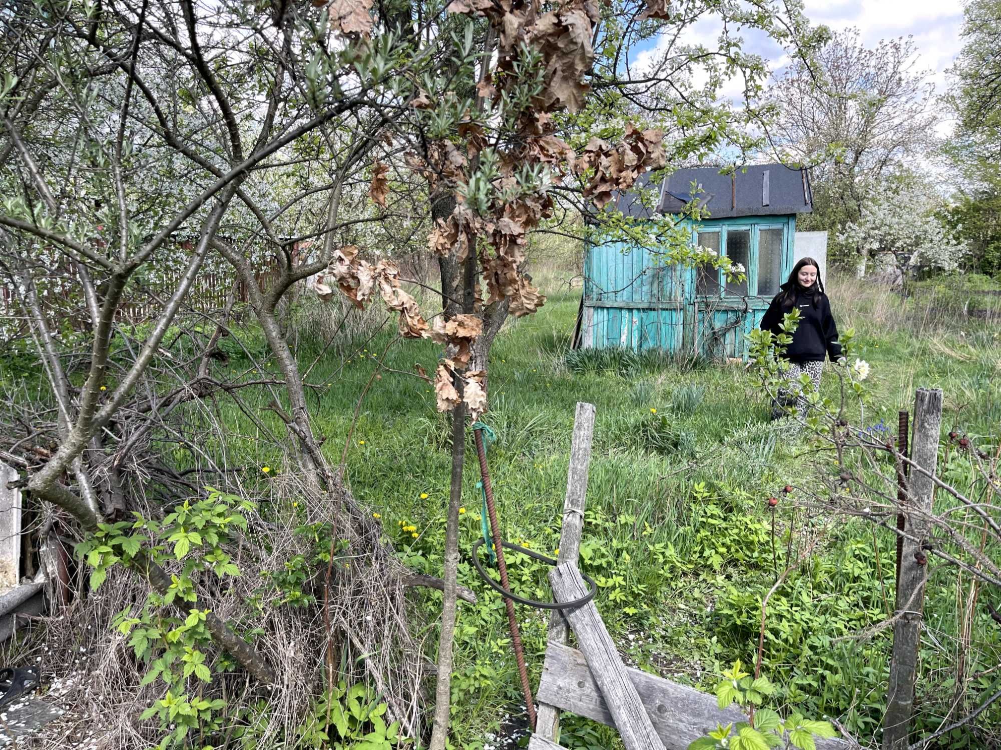 Ділянка з маленьким садовим будиночком.