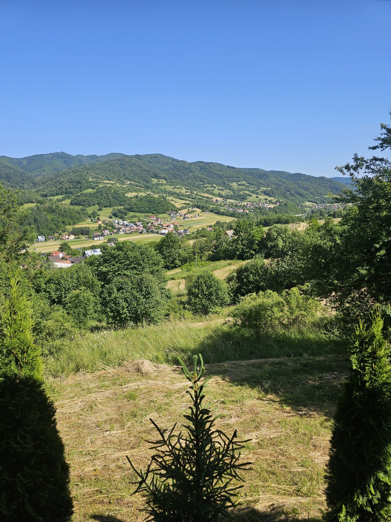 Wynajem domku pod lasem