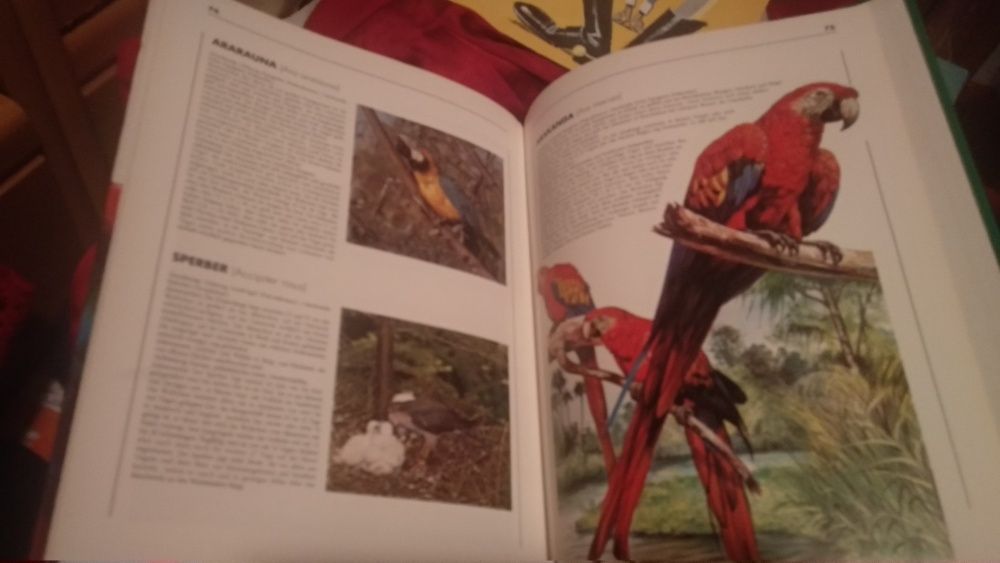 Vögel Moewig книга атлас немецкий язык птицы отличное состояние