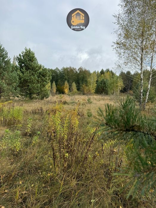 Продам земельну ділянку 7га, серед сосен, с.Рови