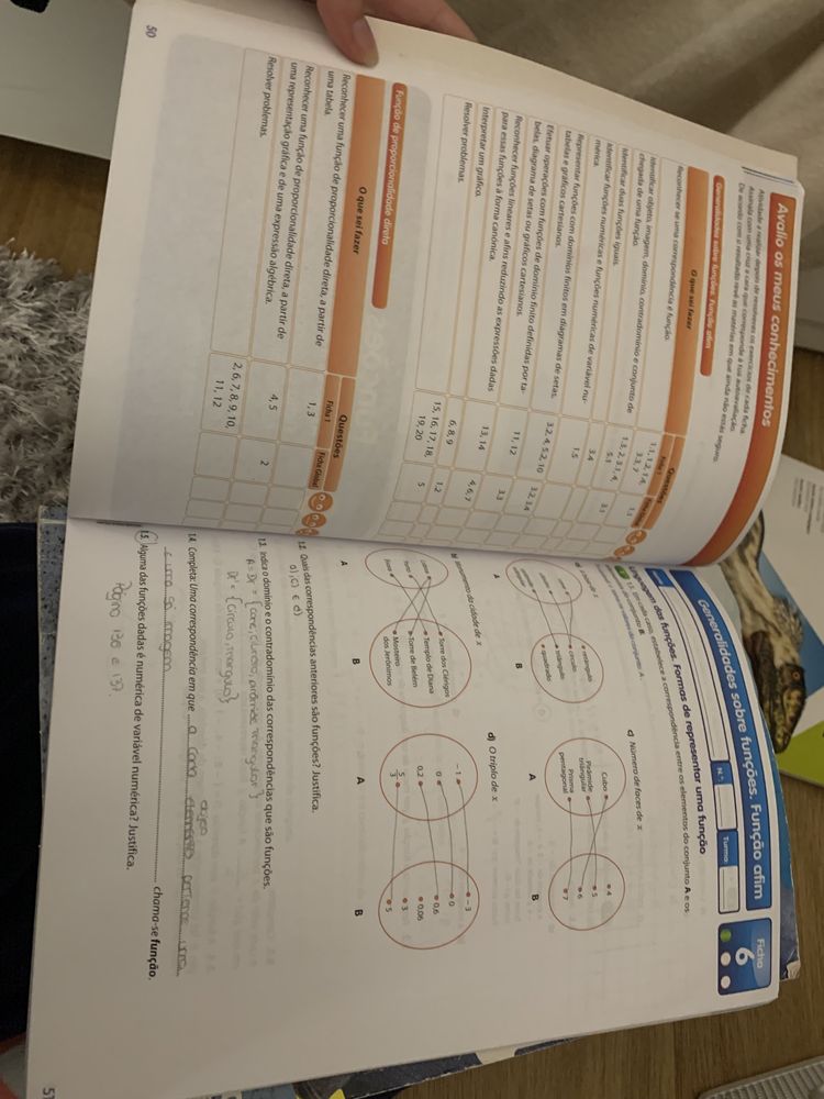 Caderno de atividades Matematica 7.º ano