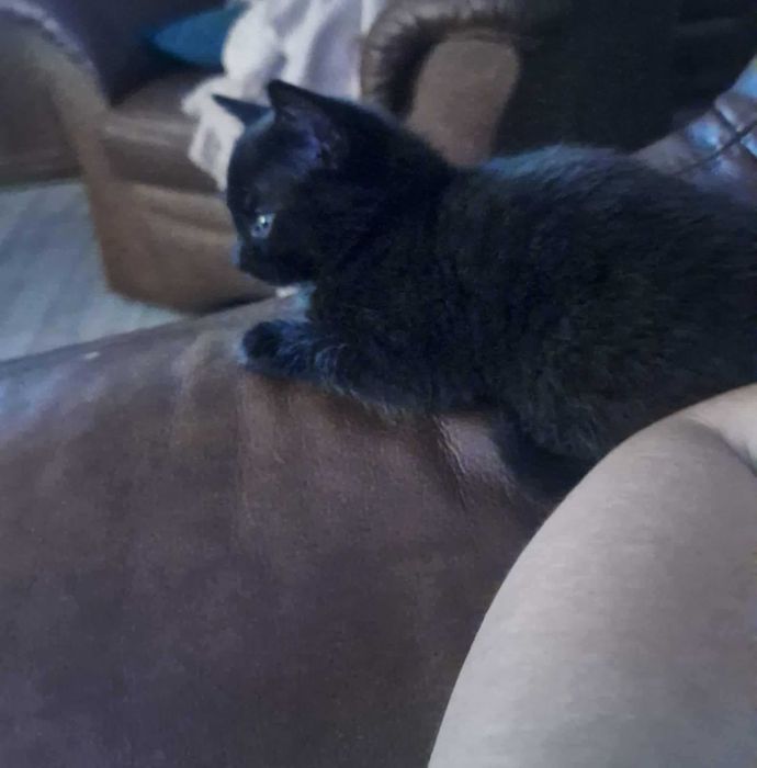 5 maluszków do pilnej adopcji