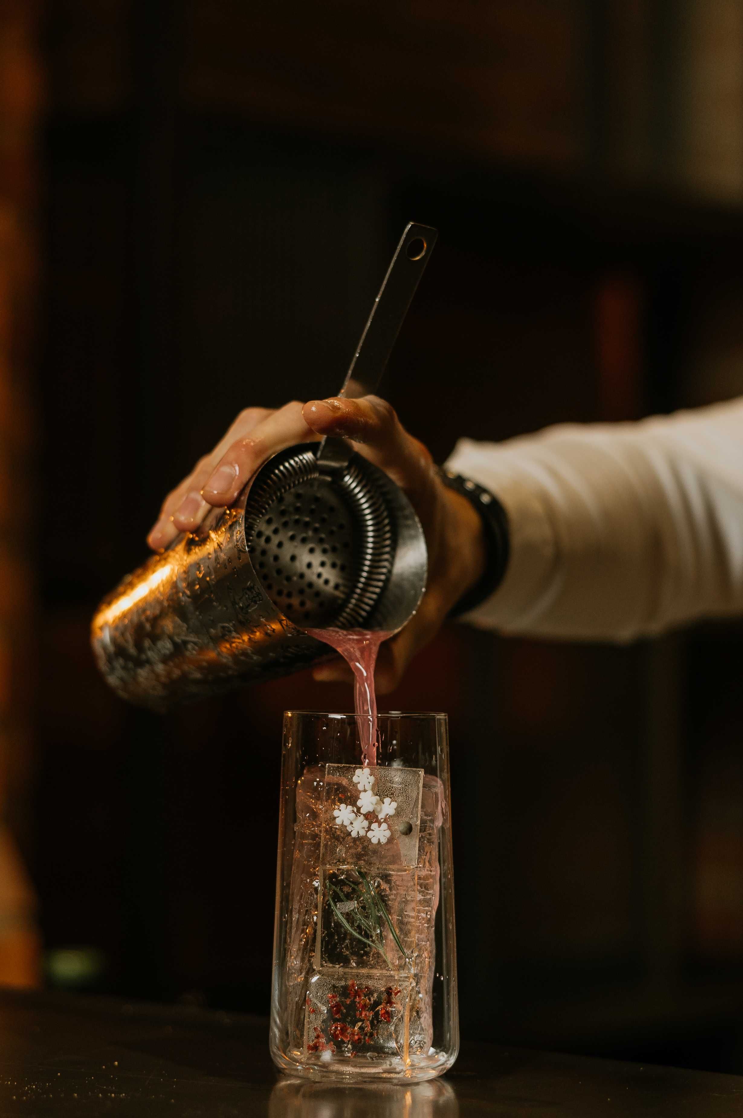 PLATINUM SERVICE - Drink bar - Mobilni barmani na wesele, urodziny
