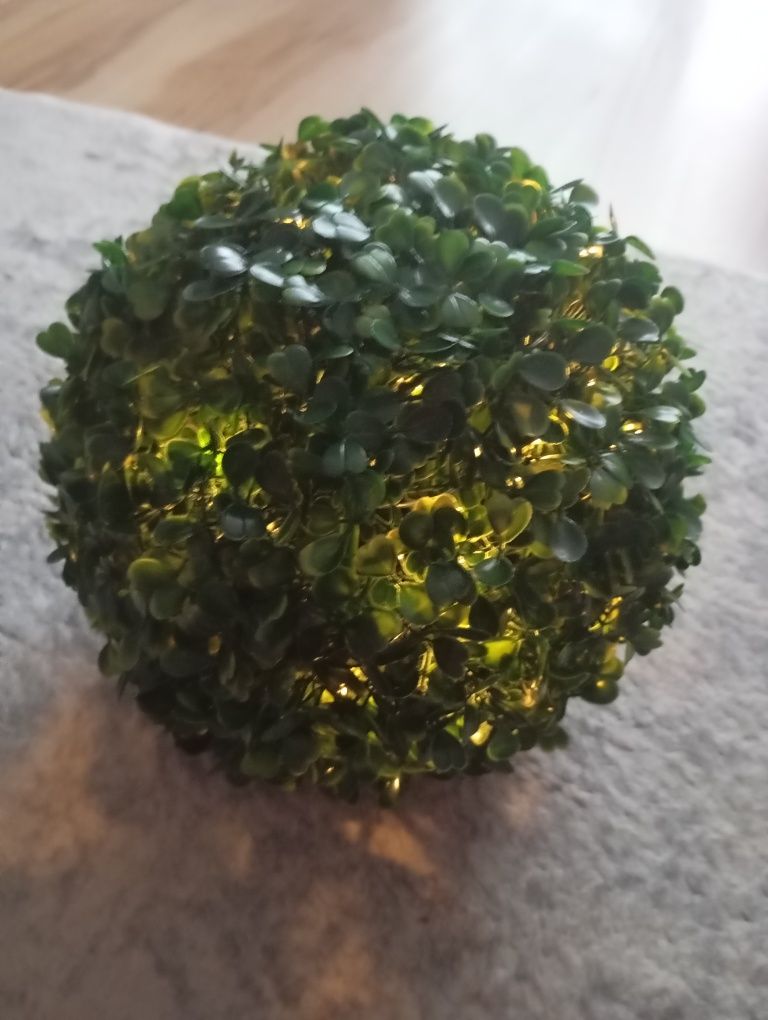 Lampka LED Cooge kula bukszpan.
