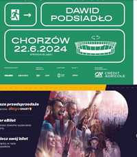 Dawid Podsiadło 22.06.2024 Chorzów