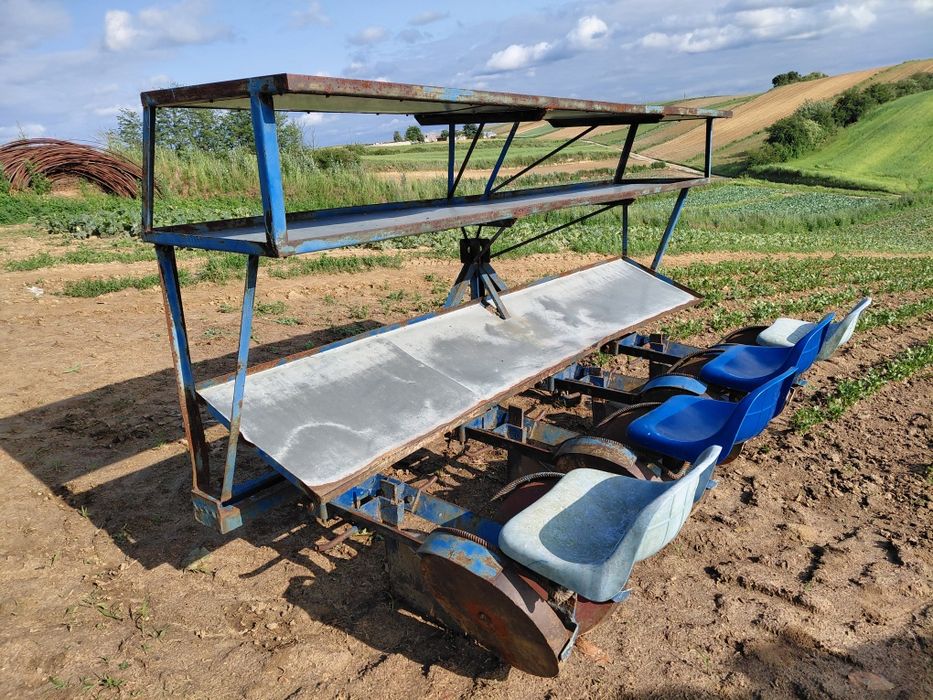 Sadzarka warzyw rozsady 4 rzędowa do kapusty tytoniu truskawek