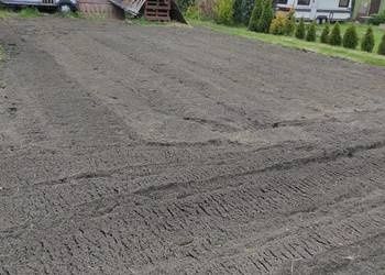 Czyszczenie działek wycinka drzew