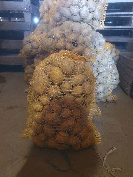 Ziemniaki Soraya Mellody Bellarosa Quinn Anna