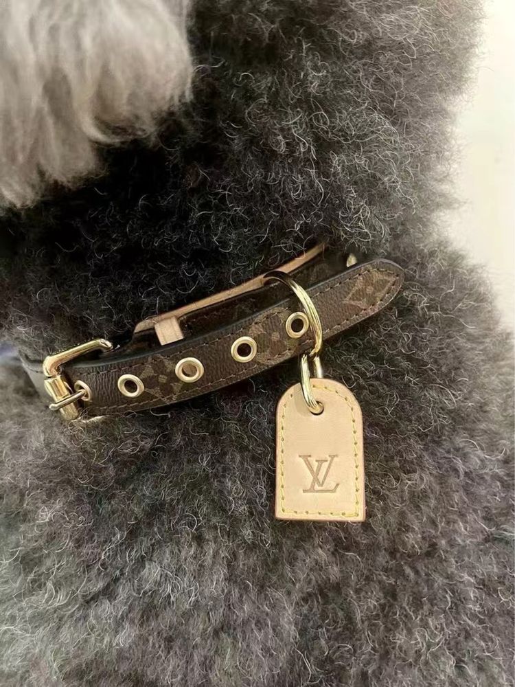 Поводок Louis Vuitton Ошейник Шлея Амуниция