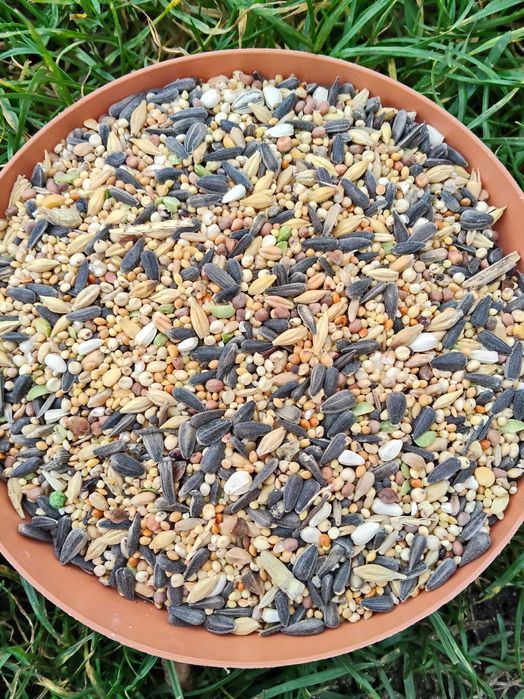 Mieszanka dla papug i ptaków, z prosem, drobna karma, 25kg