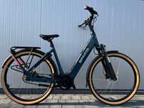 Rower Sparta D-Rule Energia
