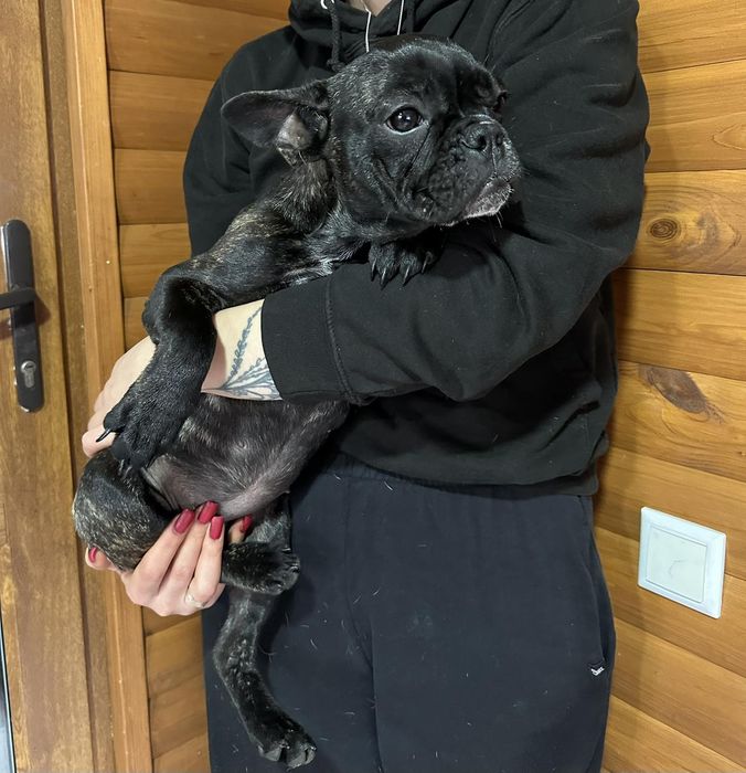 Сестрички француженкі.