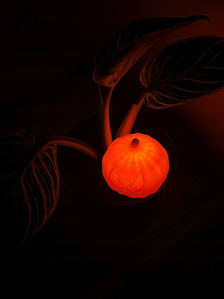 Lampki led Halloween hit