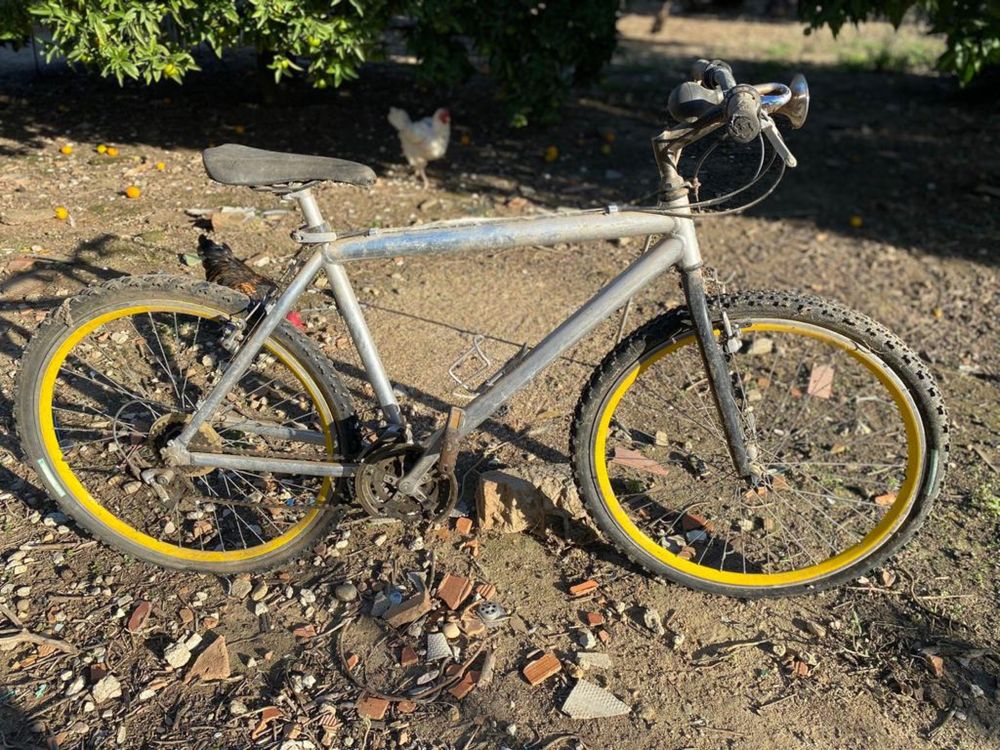 Bicicletas a precisar de uma manuntenção