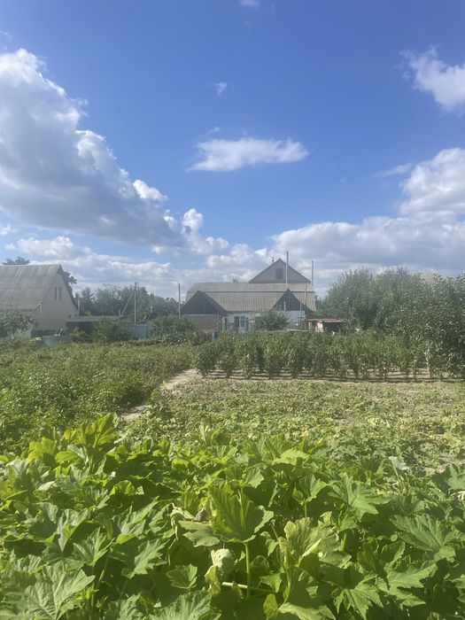 Без % Будинок 130 м2, ділянка 15 сот. Мальовниче місце біля Киіва