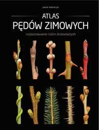 Atlas pędów zimowych - Jacek Adamczyk