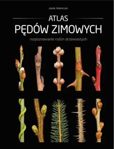 Atlas pędów zimowych - Jacek Adamczyk